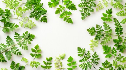   A clean white background featuring a bundle of verdant leaves