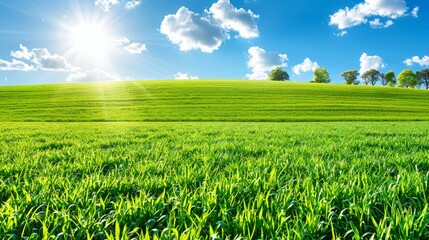   A green field with the sun rising above a central hill