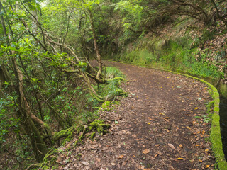 Views from hiking trail PR10 Levada do Furado along water irrigation channel. One the oldest and...