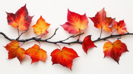   A tree branch, adorned with red, orange, and yellow leaves, hangs alongside a white wall