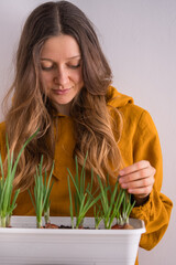 Woman, dressed in warm yellow hoodie, attentively tends to her thriving green onion garden, cultivated in white container at home.