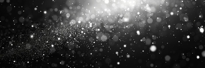 Obraz premium Snow Falling in Black and White