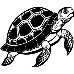 Vector black silhouette of a turtle isolated on a white background | adobe stock
