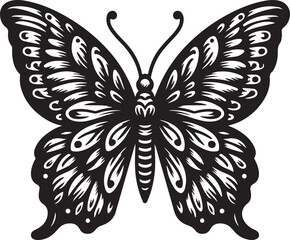 black and white butterfly