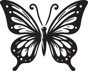 black and white butterfly