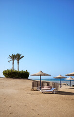 Beautiful sandy beach with sun loungers and umbrellas, Marsa Alam region, Egypt
