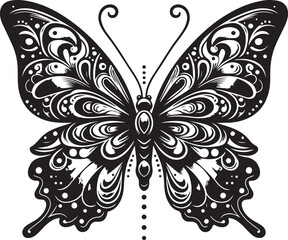 black and white butterfly