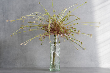 dried flowers in a white jug, decorative, sad, dried flower bouquet