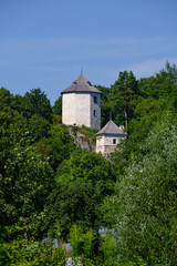 Fototapeta premium Castle ruins in Ojcow, Ojcow National Park, Lesser Poland