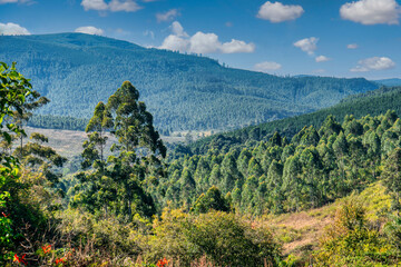 Landscape vista mountains in Graskop Gorge, Mpumalanga province located east of South Africa