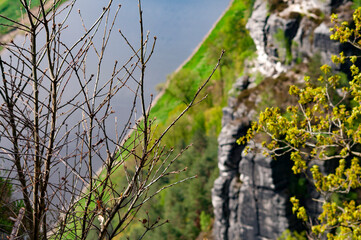 Fototapeta premium Beautiful summer view of Elbe river from Bastei view pont. Colorful morning scene of Saxon Switzerland national park, Germany, Europe.