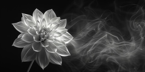 White Flower Emitting Smoke