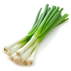 A fresh scallion cluster with green and white parts, isolated on a white background