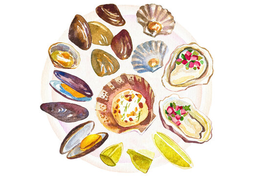 Watercolor painted clams. Hand drawn fresh seafood design elements isolated on transparent background.
