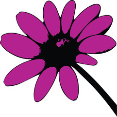 Daisy Flower - Spring summer flower artwork, flower design