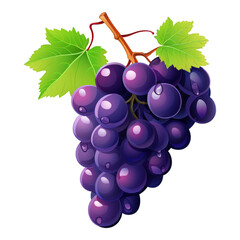 Fototapeta premium Concord Grape isolated on transparent background. illustration . Generative ai