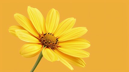 Obraz premium Flower on background, a picture of gorgeous color. Blossoming and vibrant, it's a wonderful floral display.