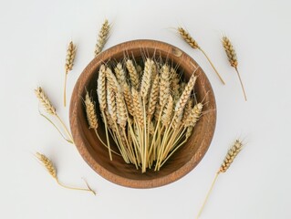 wheat bowl, top view on white background