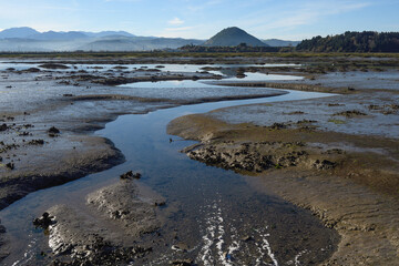 Water channels at low tide in the Santoña marshes