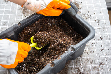Ingredients for the soil of home potted plants, peat, earth, sand, perlite, vermiculite, coconut. A...