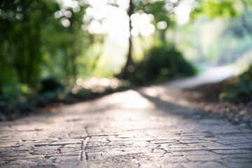 Selective focus on a blurred stone path going deep into the green forest towards the setting sun...