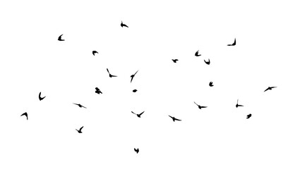 Flying birds silhouette flock. hand drawing. Not AI, Vector illustration