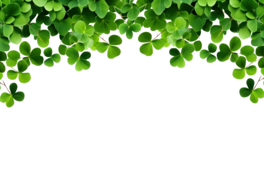 PNG Clover leaf nature plant green.