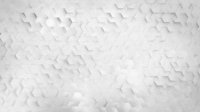 White Geometric Corporate Background. Hexagonal pattern with soft shadows. Looped video.