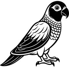 Senegal Parrot vector silhouette 