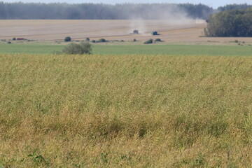 Fototapeta premium tractor in field