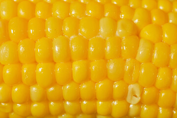 bright yellow boiled corn with butter detailed view
