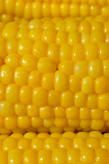 bright yellow boiled corn with butter detailed view
