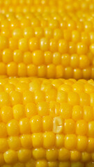 bright yellow boiled corn with butter detailed view