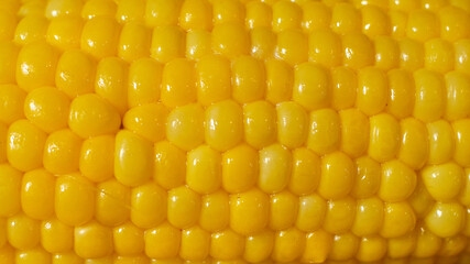 bright yellow boiled corn with butter detailed view
