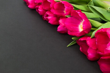 Fototapeta premium bright pink tulips lie on a black background. floral background for postcard 
