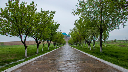 
hodja ahmet yesevi social complex