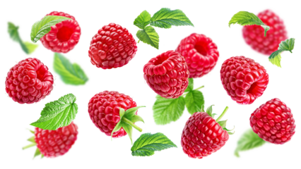Flying juicy ripe raspberries with leaves isolated on a white background.