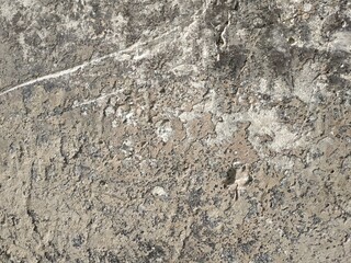 Gray concrete texture. Gray texture background and blank