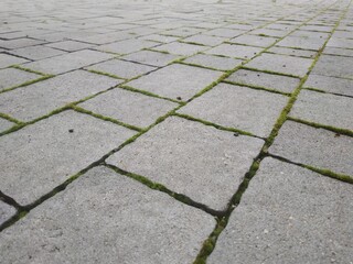 Cobblestone texture. Gray paving stones outside close-up. Design blank