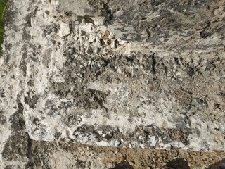 Gray concrete texture. Gray texture background and blank