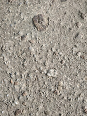 Gray concrete texture. Gray texture background and blank