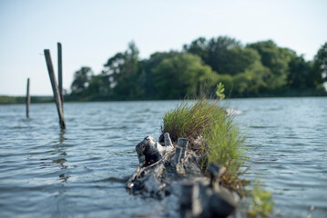 Chesapeake Bay Shore Scenes