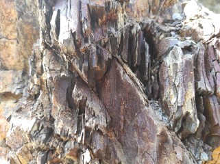 Geodesy texture photo. Texture of natural rocks of earth and stone. design blank