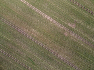 Aerial top down of grassy meadow with geometric pattern in Brandenburg