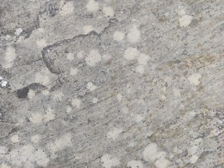 Gray concrete texture. Gray texture background and blank