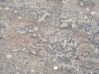 Gray concrete texture. Gray texture background and blank