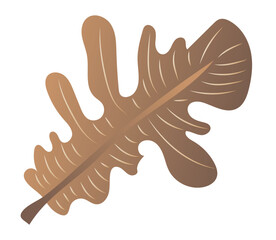 Autumn brown leaf with veins in flat design. Decorative oak foliage. Vector illustration isolated.
