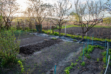 organic vegetable garden in early spring