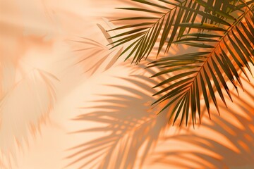 Fototapeta premium Warm orange and beige summer color background with tropical palm shadow. Two trend pastel paper and exotic plant shade layout. Minimal flat lay with leaf silhouette overlay.