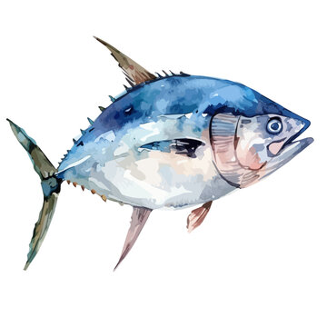 recommend clip art: Watercolor vector of a tuna fish, isolated on a white background, design art, drawing clipart, Illustration painting, Graphic logo, tuna vector 